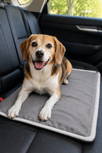 Serinletici Mat 40x60 cm, 4 Mevsim Kedi ve Köpek Matı | Sıcak & Soğuk Kullanılabilen Jel Dolgulu Minder Yatak - Gri